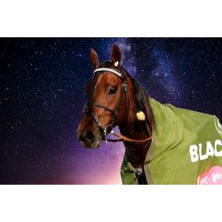 Perjantairavit & Erkki.I.Pesosen muistoajo